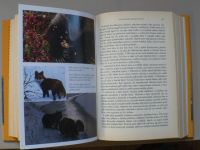 Russell, Ennsová - S láskou grizzly - šest dobrodružných let s hnědými medvědy na Kamčatce (2004)