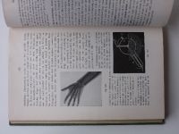 Bouwman - Beknopt leerboek der Natuurkunde (1930) nizozemsky