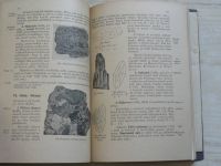 Daňek - Mineralogie a geologie pro vyšší třídy středních škol (1947)