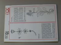 Požární ochrana 1-24 (1982) - Ročník XXX. - 21 časopisů - chybí č. 12,16,17, 25, 26