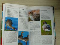 Ptactvo - Poznáváme a určujeme - kompaktně a informativně