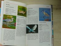 Ptactvo - Poznáváme a určujeme - kompaktně a informativně
