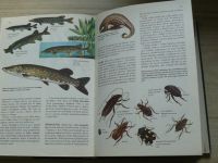 Svet živočíšnej ríše (ilustrovaná encyklopédia) (1984) slovensky