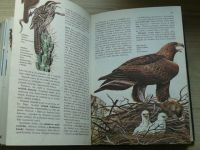 Svet živočíšnej ríše (ilustrovaná encyklopédia) (1984) slovensky