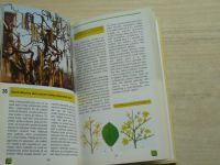 Šrot - Okrasné dřeviny (1998) Rady pro pěstitele