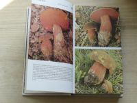 Erhartovi - Houbařský atlas - 400 druhů jedlých a jedovatých hub