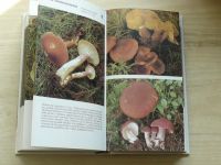 Erhartovi - Houbařský atlas - 400 druhů jedlých a jedovatých hub