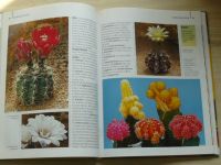 Mankeová - Kniha o kaktusech - Nejhezčí druhy a péče o ně (2001)
