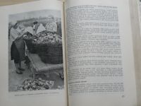 Polní zelinářství (SZN 1955) kol. autorů