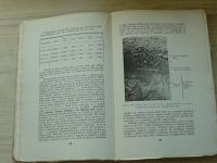 Lesnictví - Přírodní základy lesa - Půda jako základ lesní tvorby (Písek 1944)