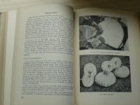 Podešva a kol. - Encyklopedie zelinářství - II. část speciální (1959)