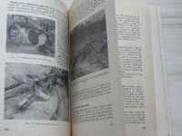 Landa - Lesní hospodářství II. - Pěstění a tvorba lesa (1955)