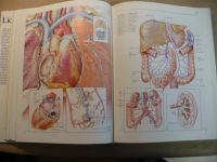 Lidské tělo - Srozumitelný a zevrubný průvodce po strukturách a funkcích lidského organismu (1991)
