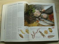 Wilson, Oglesby - Encyklopedie rybaření - Náčiní, techniky, druhy ryb, návnady (1999)