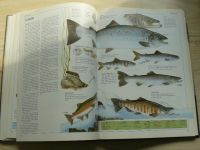Wilson, Oglesby - Encyklopedie rybaření - Náčiní, techniky, druhy ryb, návnady (1999)