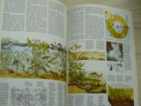 Království zvířat (Albatros 1983) Radost z vědění
