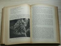 Beránek, Geisler, Lisý - Včelařská encyklopedie (SZN 1956)
