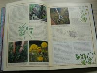 Lothian - Successful Organic Gardening Companion Planting (anglicky)