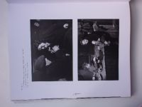 Europa nach der Flut - Kunst 1945-1965 (1995) německy - katalog výstavy Barcelona-Wien