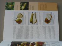 Ovoce a zelenina (2002)