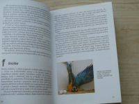 Wagner - Papoušci - umělý odchov mláďat - Praktická příručka (1998)