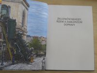 Schrötter, Lapáček, Fultner - Železniční nehody - Řízení a zabezpečení dopravy (2021)