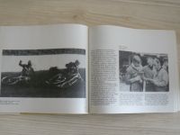 Jenča - Boj o Zlatou přilbu 1929 - 1974 (1975)