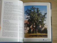 Památné stromy - Objevujte krásy ČR se společností Skanska (2005)