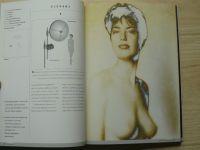 Hicks, Schultz - Aktfotografie - Motiv - Gestaltung - Licht (1997)