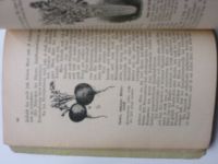 Ulsamer - Illustriertes Gartenbuch - Die 12 Monate des Jahres im Gemüse-, Obst-, ... Garten (1907)