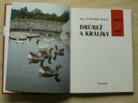 Malík - Drůbež a králíky - Domácí chov (2002) slovensky