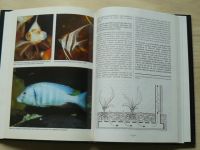 Hofmann, Novák - Akvaristika - Jak chovat tropické ryby jinak a lépe (1996)