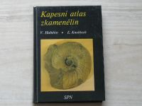 Habětín, Knobloch - Kapesní atlas zkamenělin (1990)
