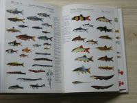 Klaus Paysan - Akvarijní ryby - 500 druhů pro sladkovodní nádrže (1996)
