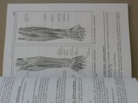 Mellová a kol - Anatómia človeka pre nelekárske študijné programy (2010)