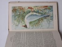 Creutz - Taschenbuch der heimischen Sumpf- und Wassevögel (1954) německy - brodiví a vodní ptáci