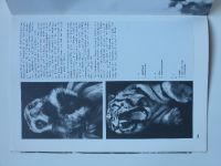 Fotokinomagazin 1-12 (1983) ročník XXI. - německy - chybí č. 2-4, 10, 12, 7 čísel